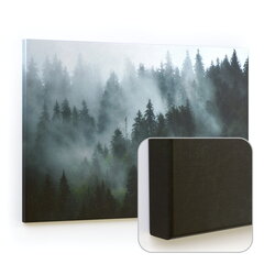 Magnetic image CANVASboards 90x60 cm - Mets udus hind ja info | Seinapildid | kaup24.ee