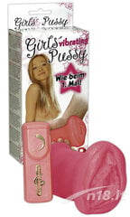 Мастурбатор You2Toys Girls Pussy цена и информация | Секс игрушки, мастурбаторы | kaup24.ee
