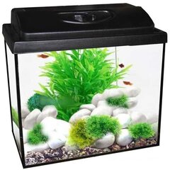 Akvaarium, 40x25x25, 25L hind ja info | Akvaariumid ja seadmed | kaup24.ee