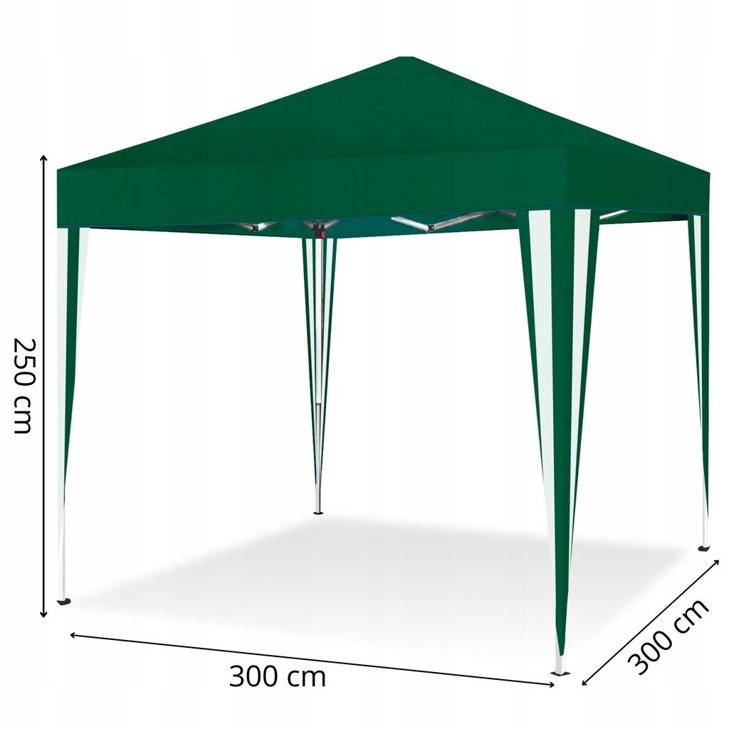 Aiapaviljon Fluxar, 3 x 3 x 2,5 m hind ja info | Varikatused ja aiapaviljonid | kaup24.ee