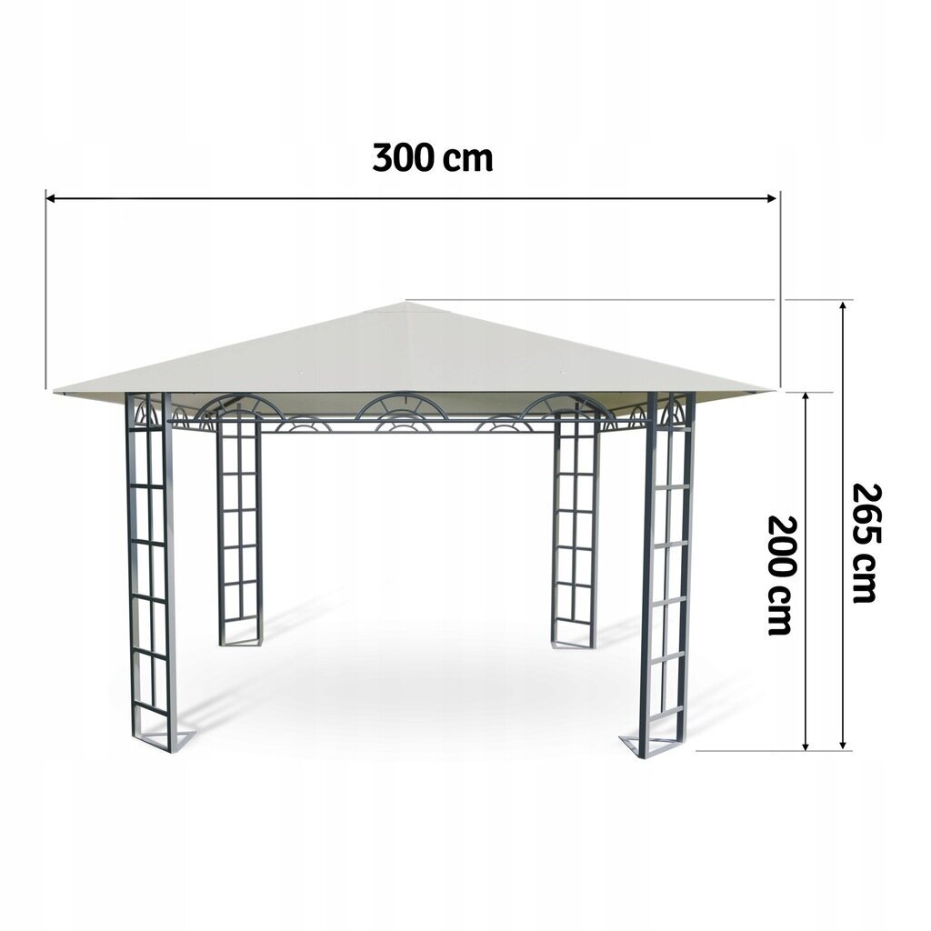 Aiapaviljon Õhuke 3 x 3 x 2,65 m цена и информация | Varikatused ja aiapaviljonid | kaup24.ee