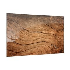 Magnetiline klaasist tahvel OLD TREE 60x40cm hind ja info | Seinapildid | kaup24.ee