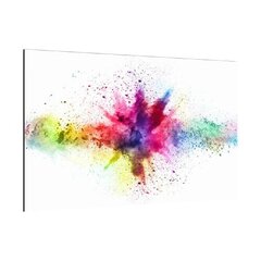 Klaasist tahvel HOLI AGE OF COLOURS 60x40cm Dekoratsioon цена и информация | Картины, живопись | kaup24.ee