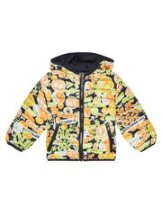 Куртка для мальчиков Guess Jeans 520915685, разноцветная цена и информация | Куртки для мальчиков | kaup24.ee