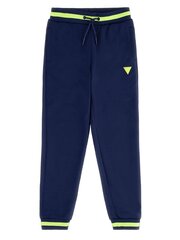 Спортивные брюки для мальчиков Guess Jeans 520915617, синие цена и информация | Шорты для мальчиков | kaup24.ee