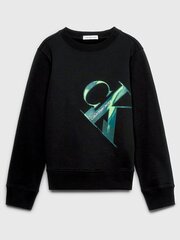 Calvin Klein джемпер для мальчиков IB0IB01854BEH, черный цена и информация | Свитеры, жилетки, пиджаки для мальчиков | kaup24.ee