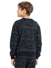 Свитшот для мальчиков Calvin Klein, черный цена и информация | Свитеры, жилетки, пиджаки для мальчиков | kaup24.ee
