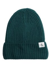 Calvin Kleini müts poistele IU0IU00440CA4, sinine цена и информация | Шапки, перчатки, шарфы для мальчиков | kaup24.ee
