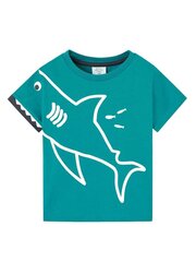 Футболка BOBOLI Lake 318114 520239064 цена и информация | Рубашки для мальчиков | kaup24.ee