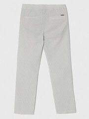 Guess Jeans püksid poistele L4RB06 WFYH0 SA98, hall hind ja info | Poiste püksid | kaup24.ee