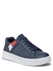 Повседневная обувь TOMMY HILFIGER Flag Low Cut Blue T3X9-33356-1355800 540125536 цена и информация | Детская спортивная обувь | kaup24.ee