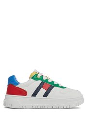 Повседневная обувь TOMMY HILFIGER Flag Low Cut Multicolor T3X9-33369-1355Y913 540125544 цена и информация | Детская спортивная обувь | kaup24.ee