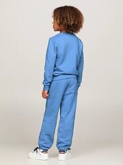 Dressipüksid poistele Tommy Hilfiger, sinine hind ja info | Poiste püksid | kaup24.ee