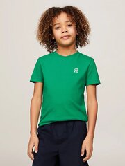 T-särk poistele Tommy Hilfiger, roheline цена и информация | Рубашки для мальчиков | kaup24.ee