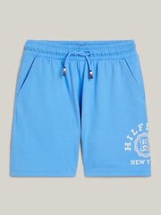 Шорты TOMMY HILFIGER Th Logo Sweatshorts KB0KB08841C30 540125676 цена и информация | Poiste lühikesed püksid | kaup24.ee