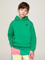 Худи  TOMMY HILFIGER U Monogram Hoodie KS0KS00546L4B 540125688 цена и информация | Свитеры, жилетки, пиджаки для мальчиков | kaup24.ee