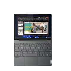 Lenovo ThinkBook 13x G2 IAP (21AT003MMH) цена и информация | Записные книжки | kaup24.ee