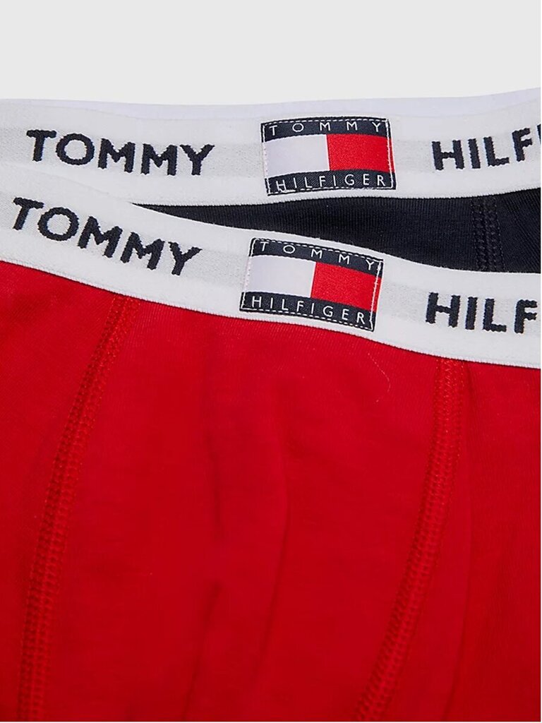 Poiste aluspüksid Tommy Hilfiger, 2 paari цена и информация | Poiste aluspesu | kaup24.ee