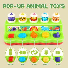 Beebi mänguasi muusikaga Pop Up Toys hind ja info | Imikute mänguasjad | kaup24.ee