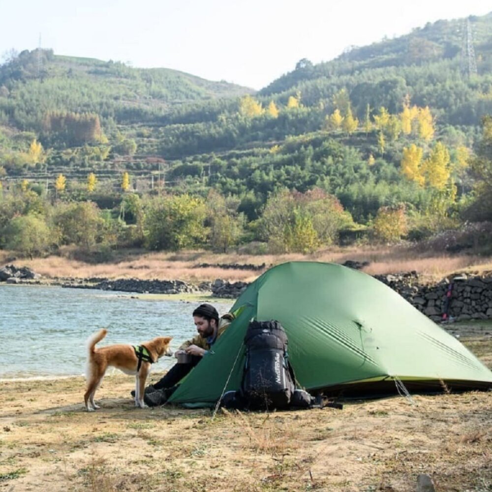 Telk mattidega Naturehike Cloud Up 2, roheline цена и информация | Telgid | kaup24.ee