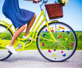 Набор "Рыбки и бабочки" для велосипедных спиц, Alinco цена и информация | Другие аксессуары для велосипеда | kaup24.ee