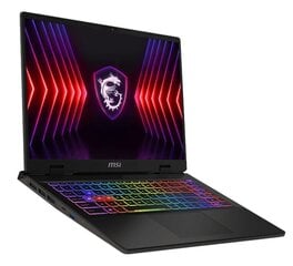 MSI Sword 16 HX B14VFKG-026XPL цена и информация | Ноутбуки | kaup24.ee