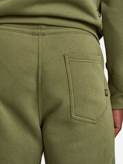 Шорты G-STAR Premium Core Sweat Green D21172 C235 724 560023332 цена и информация | Мужские шорты | kaup24.ee