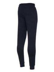 Tommy Hilfiger püksid meestele Hwk Track Pant tepitud UM0UM02983DW5, sinine цена и информация | Мужская спортивная одежда | kaup24.ee