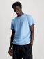 T-särk meestele Calvin Klein Jeans, sinine цена и информация | Meeste T-särgid | kaup24.ee