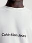 T-särk meestele Calvin Klein Jeans, valge цена и информация | Meeste T-särgid | kaup24.ee