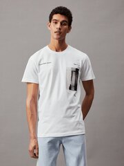 T-särk meestele Calvin Klein Jeans, valge hind ja info | Meeste T-särgid | kaup24.ee