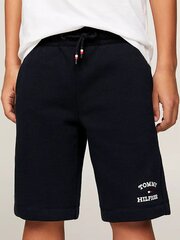 Lühikesed püksid poistele Tommy Hilfiger, sinine hind ja info | Poiste lühikesed püksid | kaup24.ee