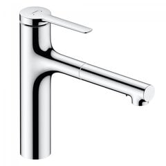 Hansgrohe Zesis M33 valamusegisti koos väljatõmmatava voolikuga, 74801000, kroom hind ja info | Vannitoa segistid | kaup24.ee