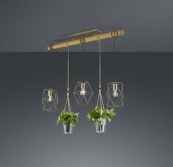 Trio подвесной светильник Plant цена и информация | Потолочный светильник, 38 x 38 x 24 см | kaup24.ee