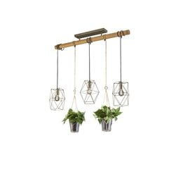 Trio подвесной светильник Plant цена и информация | Люстры | kaup24.ee