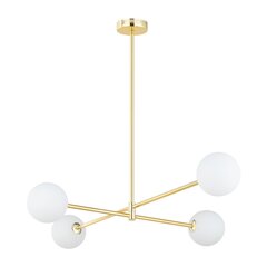 TK Lighting подвесной светильник Sarius gold IV 4737 kaina ir informacija | Люстры | kaup24.ee