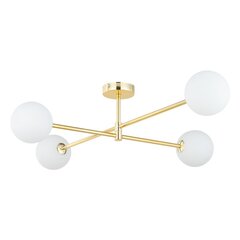 TK Lighting подвесной светильник Sarius gold 4738 цена и информация | Потолочный светильник, 38 x 38 x 24 см | kaup24.ee