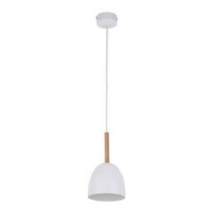 TK Lighting rippvalgusti Nord 4868 hind ja info | Rippvalgustid | kaup24.ee