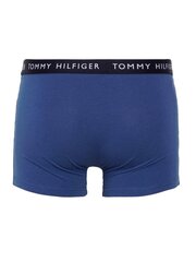 Боксеры Tommy Hilfiger Des Sky Bold Blu Light Cast, 3 пары цена и информация | Мужские трусы | kaup24.ee