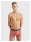 Tommy Hilfiger aluspüksid meestele Pagasiruum 1U879038420Y4 545663291, erinevad värvid, 3 tk hind ja info | Meeste aluspesu | kaup24.ee