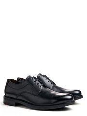 Туфли мужские Lloyd, черные цена и информация | Мужские ботинки | kaup24.ee