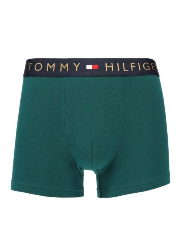 Tommy Hilfiger aluspüksid meestele Trunk Gold Wb UM0UM030470Y2 545667733, erinevad värvid, 5 tk цена и информация | Meeste aluspesu | kaup24.ee