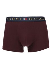 Мужские трусы боксеры Tommy Hilfiger 5P Trunk Gold Wb UM0UM030470Y2 545667733, 5 шт., разноцветный цена и информация | Мужские боксеры | kaup24.ee