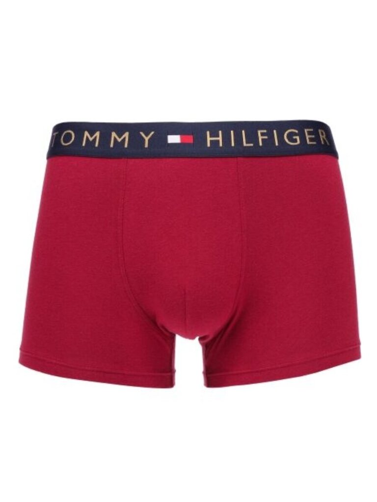 Tommy Hilfiger aluspüksid meestele Trunk Gold Wb UM0UM030470Y2 545667733, erinevad värvid, 5 tk цена и информация | Meeste aluspesu | kaup24.ee