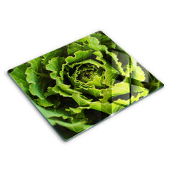 Klaasist Lõikelaud Salatilehtede söömine, 60x52 cm hind ja info | Lõikelauad | kaup24.ee