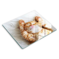 Klaasist Lõikelaud Väike armas kassipoeg, 60x52 cm hind ja info | Lõikelauad | kaup24.ee