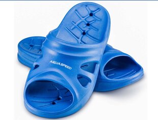 Aquaspeed сандалии цена и информация | Детские тапочки, домашняя обувь | kaup24.ee