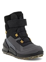 ECCO Biom K2 Gtx (30-35) Multicolor/black 573038638 цена и информация | Детские сапоги | kaup24.ee