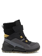 ECCO Biom K2 Gtx (30-35) Multicolor/black 573038638 цена и информация | Детские сапоги | kaup24.ee