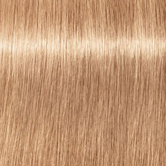 Краска для волос Schwarzkopf Igora Royal Take Over Dusted Rouge 12.481, 60 мл цена и информация | Краска для волос | kaup24.ee